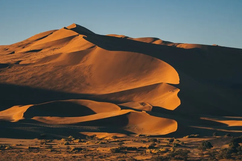 Sunlit desert dunes